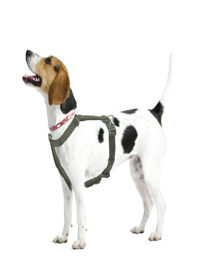 Trixie Premium Touring Harness for Dogs, Fleece Padding, Adjustable and Lightweight, Strong D-Ring Keeps The Harness and Leash in Place, 42-60 cm/ 15 mm (S-M, Forest) - Image 4